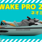 SEA-DOO2023-WAKE PRO 230