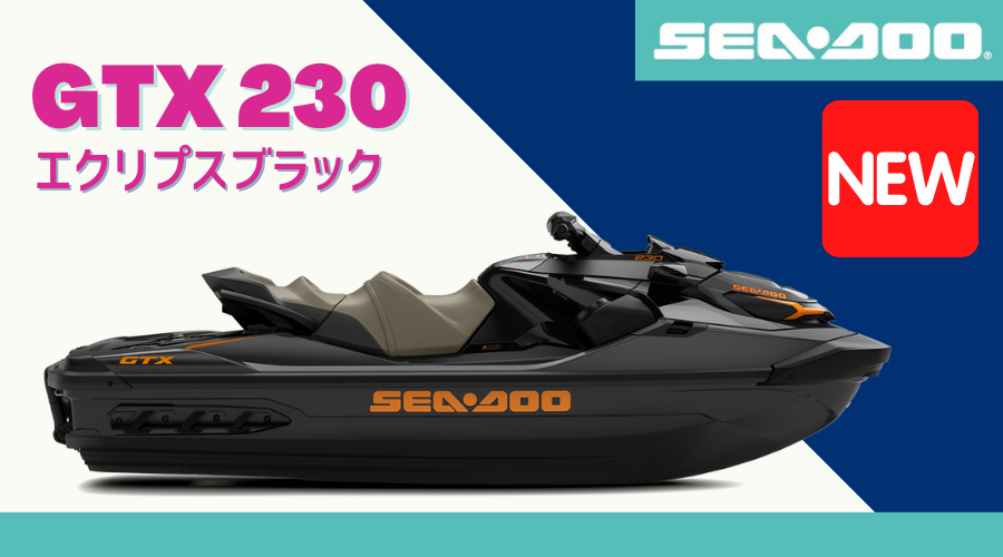SEA-DOO2021-GTX 230