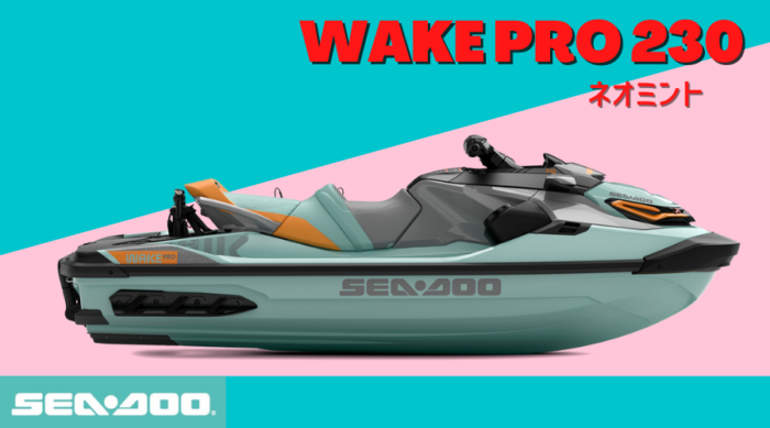 2022WAKE-PRO-230-700x389.png